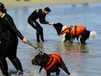 /album/galleria-fotografica/a04-jpg2/