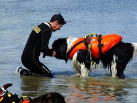 /album/galleria-fotografica/a05-jpg2/