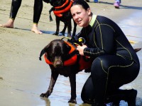 /album/galleria-fotografica/a06-jpg2/