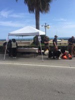 /album/galleria-fotografica/a11-jpg2/